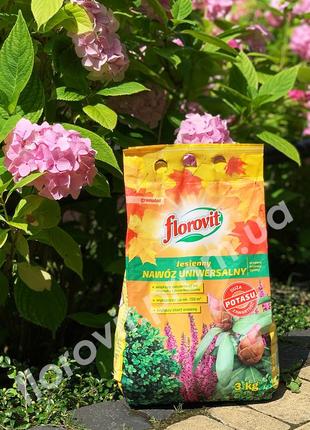 Флоровіт (florovit) — добриво універсальне 3 кг осінній
