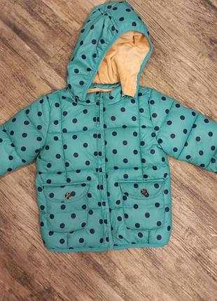 Дитяча куртка демісезон/зима