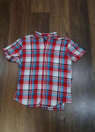 В клетку яркая 175 m 5++