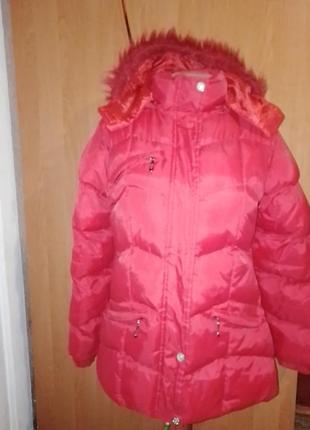 Курточка женская