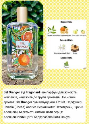 Bel oranger від fragonard