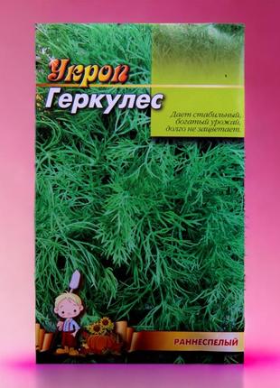 Укроп геркулес семена, большой пакет 20 г