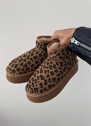 Угги угги ugg ultra mini platform ginger leopard suede