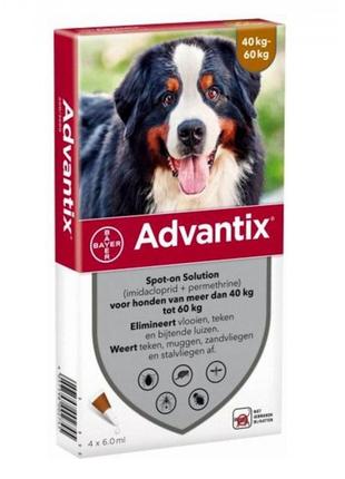 Краплі від бліх і кліщів адвантікс для собак xxl 40-60 кг (1пип/6 мл)