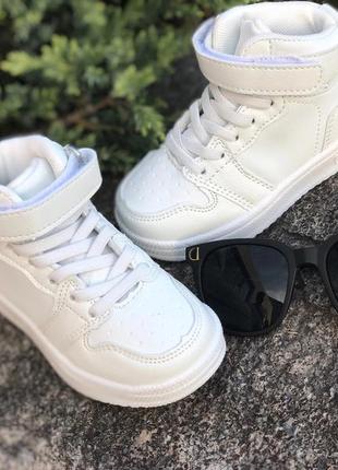 🌼  крутезні хайтопи