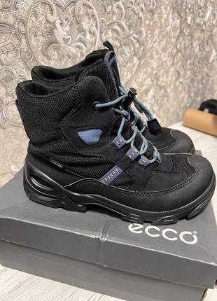 Ботинки ecco на хлопчика 34 розмір