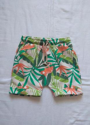 Шорты на мальчика okie dokie 4 года