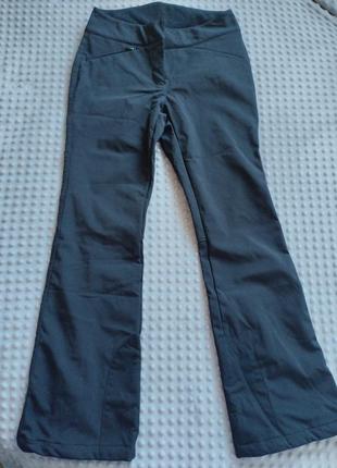 Теплые брюки softshell на флисе tcm tchibo, р 38