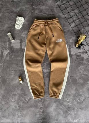 Теплі штани The North Face