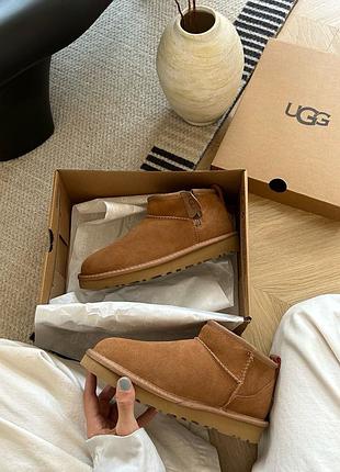 Ugg 6