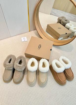 Ugg 2