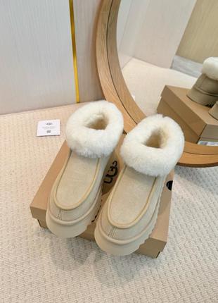 Ugg 4