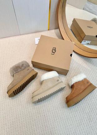 Ugg 3