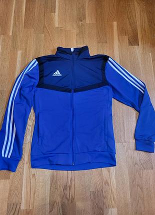 Олимпийка adidas