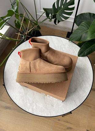 Ugg australia usa mini dipper boot platform chestnut уггі тасман платформа руді замшеві угг