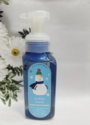 Мило-пінка feeling frosty від bath and body works