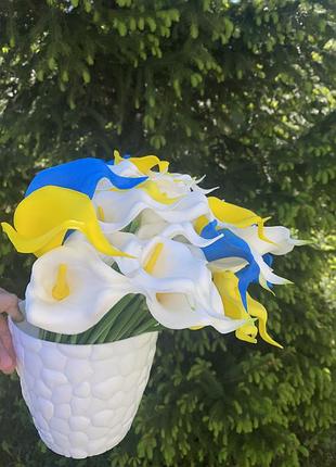 Латексні троянди, кали і тюльпани 9