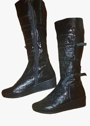 Кожаные лаковые сапоги демисезон