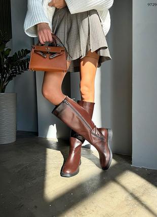 Чоботи жіночі