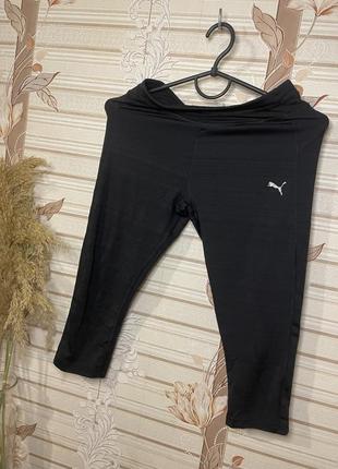 Лосины puma