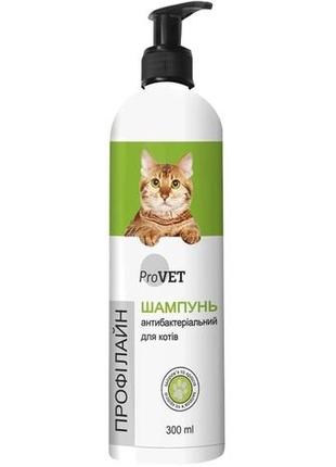 Шампунь провет профілайн антибактеріальний для котів 300мл 242207 (4823082422074)