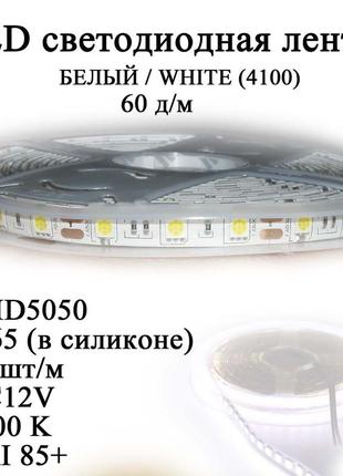 Led лента 5050 ip65 в силиконе (60 шт/м) белый white (dc12v) влагозащищенная