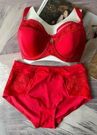 Комплект нижнего женского белья lanny mode чашка g красный