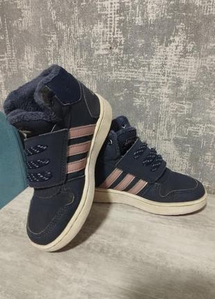 Кросівки, ботінки adidas