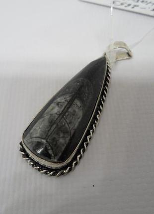 Ортоцерас окаменелый кулон натурального окаменелого ортоцераса индия