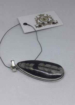 Ортоцерас окаменелый кулон натурального окаменелого ортоцераса индия.