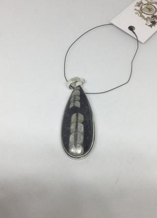 Ортоцерас окаменелый кулон натурального окаменелого ортоцераса индия.