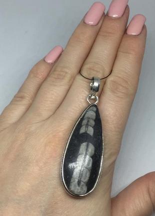 Ортоцерас окаменелый кулон натурального окаменелого ортоцераса индия.