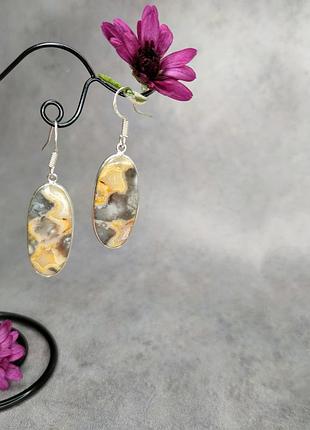 Сережки натуральний агат в сріблі. натуральний агат овал.  індія.