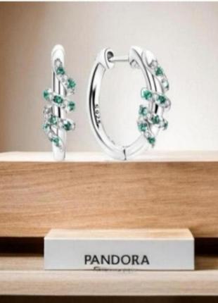 Серьги серебро оригинальные небольшие кольца silver_pandora