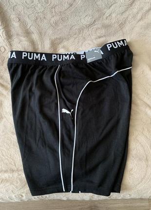 Спортивні шорти puma