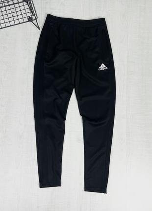 Спортивные штаны adidas climacool t pants