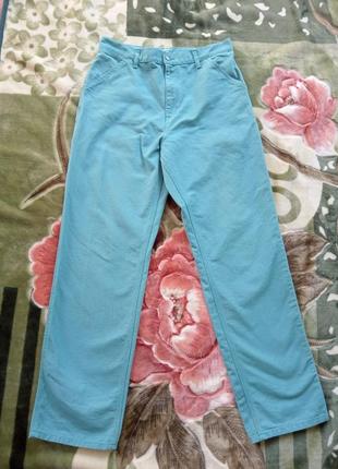 Carhartt wip single knee pants size 33x34