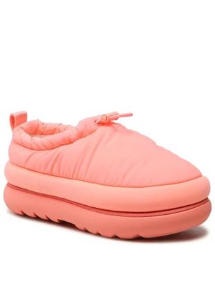 Угги тапочки жіночі ugg maxi clog оригінал w1130830 swthr