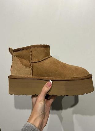 Ugg ultra mini platform ginger premium 5