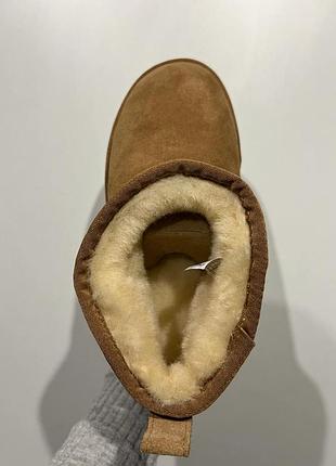 Ugg ultra mini platform ginger premium 6
