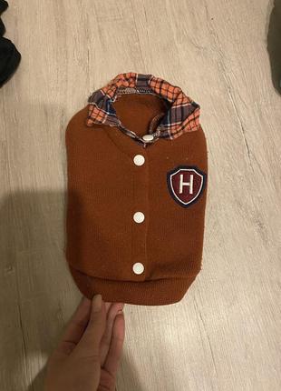 Речі на маленьку собачку