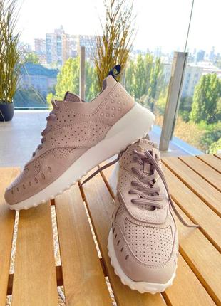 Кросівки tod’s4 фото