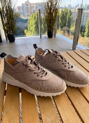 Кросівки tod’s