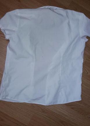 Рубашка тенниска белая2 фото