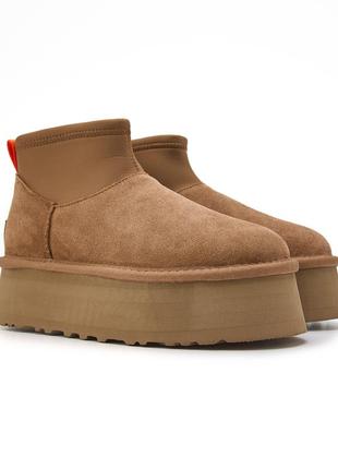 Угги угги угги ugg classic mini dipper chestnut premium