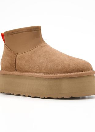 Угги угги угги ugg classic mini dipper chestnut premium