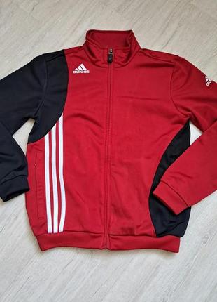 Олімпійка adidas підліткова б/у з європи