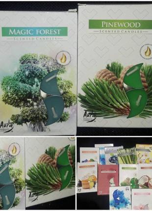 Свеча-таблетка с цветочными ароматами (польша) горит 4 часа 6 шт\уп