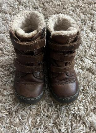 Зимние кожаные сапоги на меху lasocki 16 см стелька