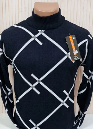 Свитер-гольф мужской с узором воротник-стойка,2 цвета  2023об